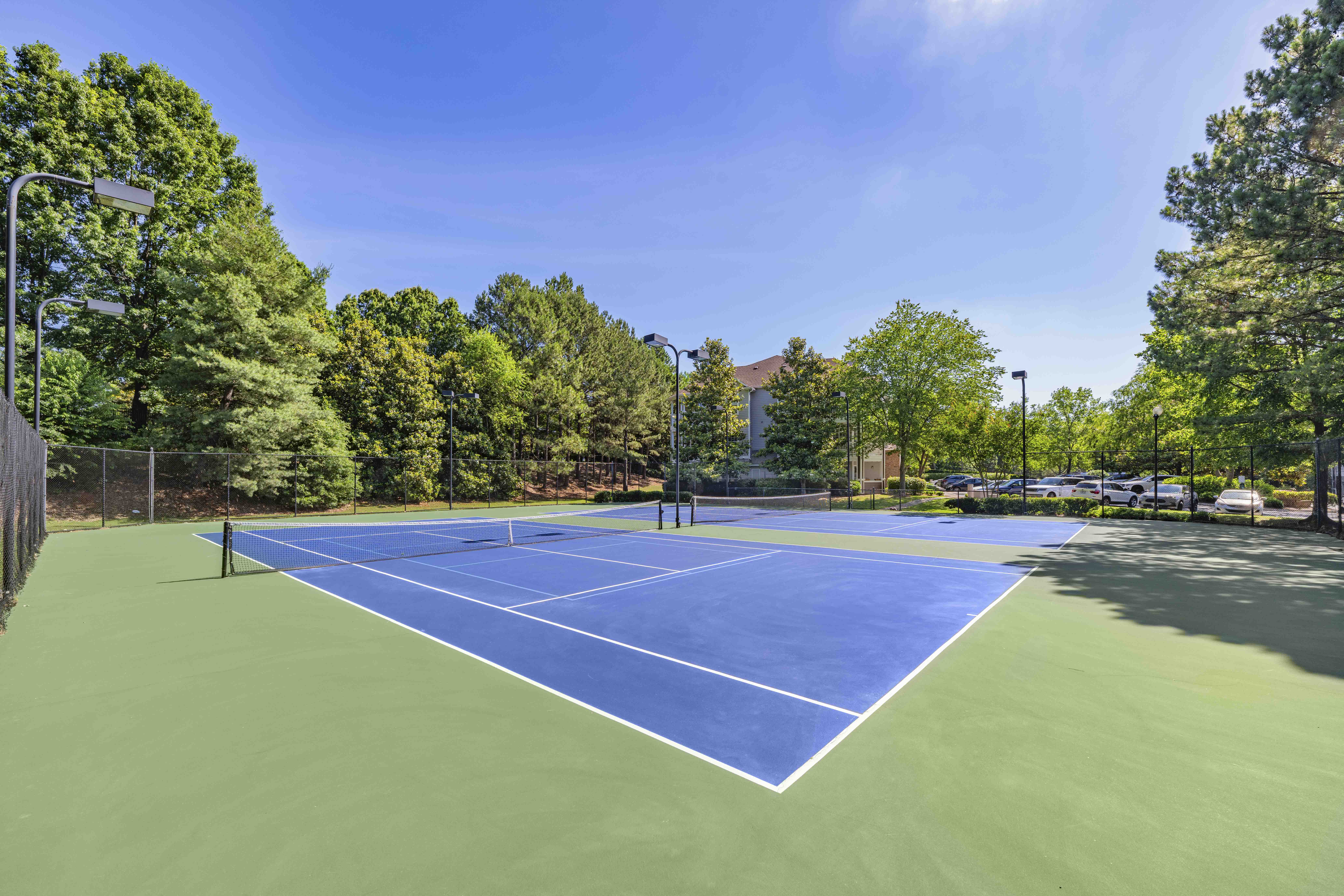 a blue and green tennis court with trees