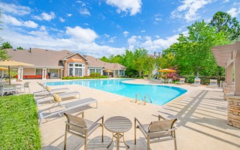1655 Centerview Drive 1-3 Beds Apartment for Rent - Photo Gallery 4