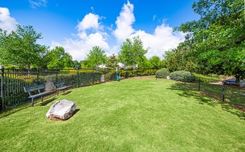 1655 Centerview Drive 1-3 Beds Apartment for Rent - Photo Gallery 6