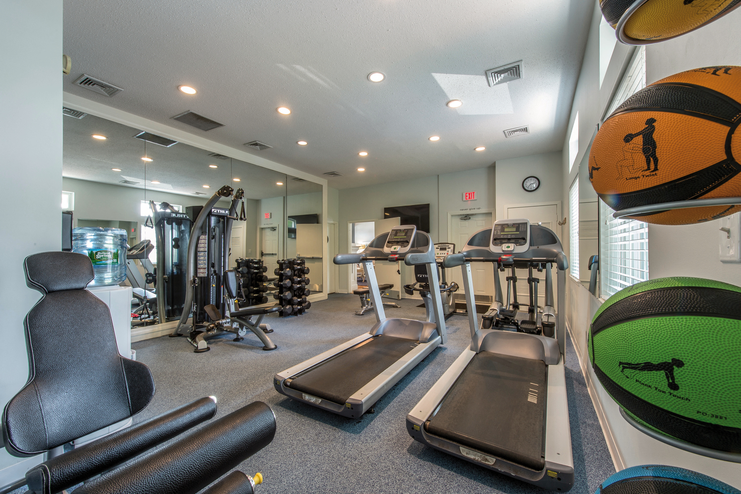 the gym is equipped with cardio equipment and weights