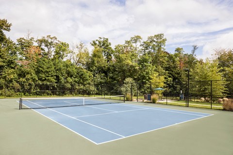 a tennis court with trees in the background on a sunny day