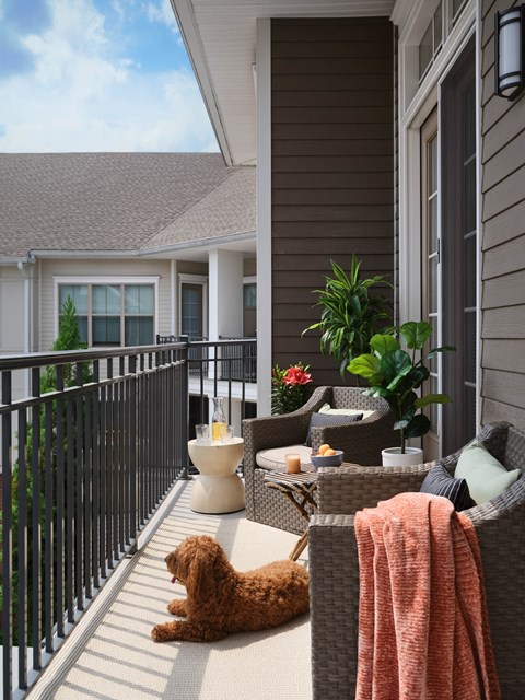 a small dog laying on a porch with chairs and a table