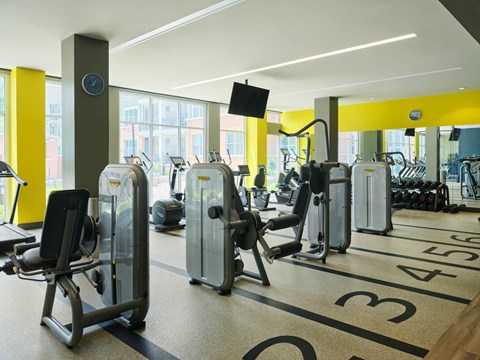 a gym with cardio equipment and weights in a building with windows