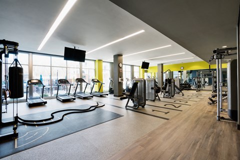 a gym with cardio machines and weights on the floor and a large window