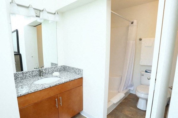 a bathroom with a sink and a toilet and a mirror