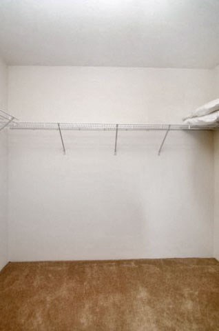 Large Master Closet