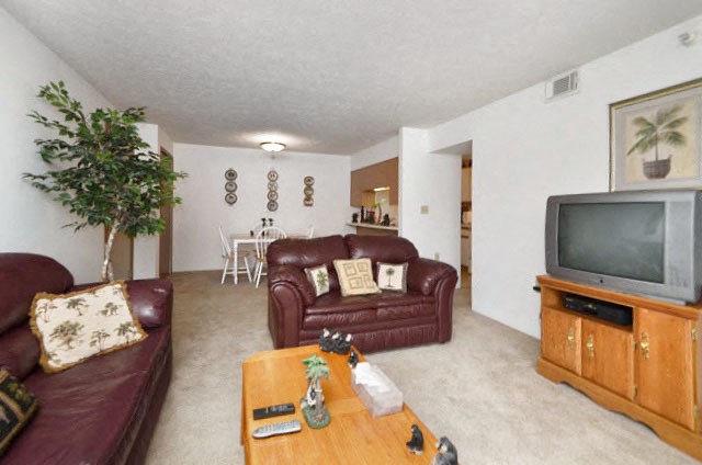 Living Room at Higgins Estates Apartments, Alabama, 35611
