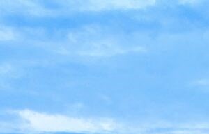 Morris Estates Apartments | Apartments in Hopkinsville, KY