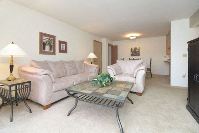 Living Room at Vail Estates Apartments 2100 S Richland Creek Dr, Princeton, IN 47670