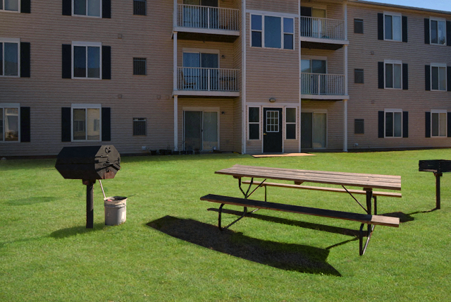 Picinic and BBQ at Wheeler Estates Apartments, Decatur, Alabama