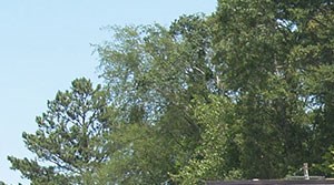 Apartments For Rent In Porterdale Ga Apartments For Rent In Porterdale Ga