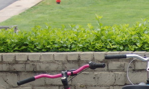 a group of bikes parked next to a wall