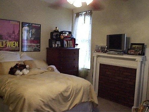 a bedroom with a bed and a cat laying on it