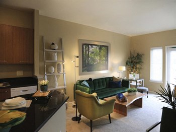 111 Elm Street 1-2 Beds Apartment for Rent - Photo Gallery 37