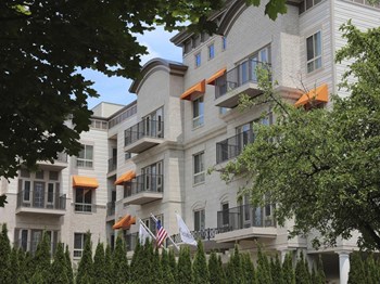 111 Elm Street 1-2 Beds Apartment for Rent - Photo Gallery 3