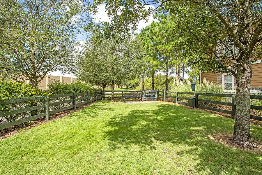 a fenced in yard with trees and a fence
