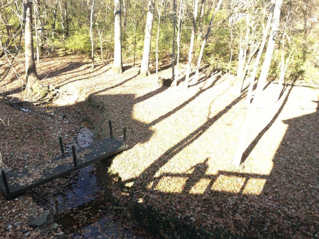 a shadow of a person sitting on a bench in the woods