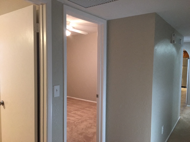 Hall bathroom to bedrooms, hallway