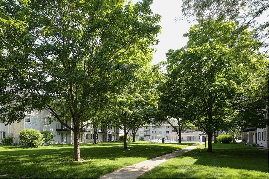 a tree lined sidewalk in front of some houses