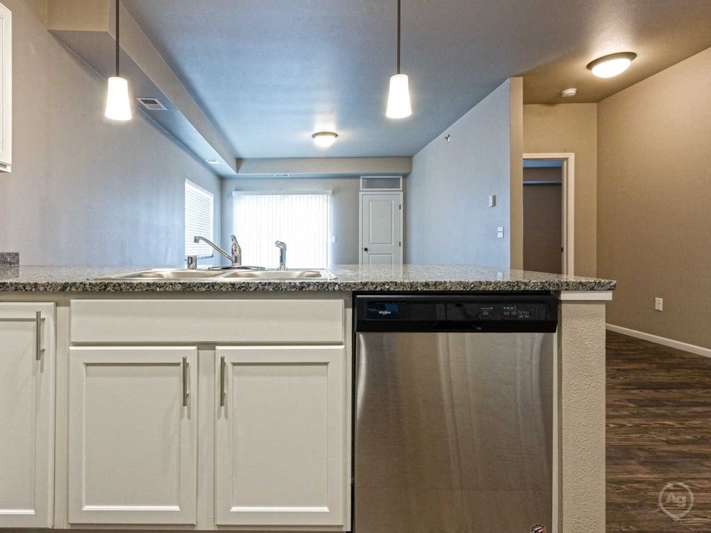 a kitchen with a counter top and a dishwasher