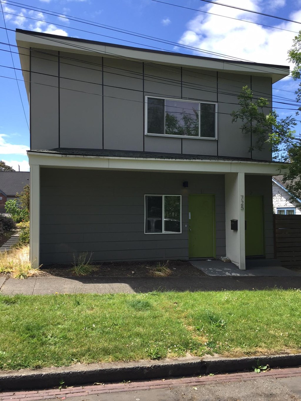 the front of the house with the green door and window