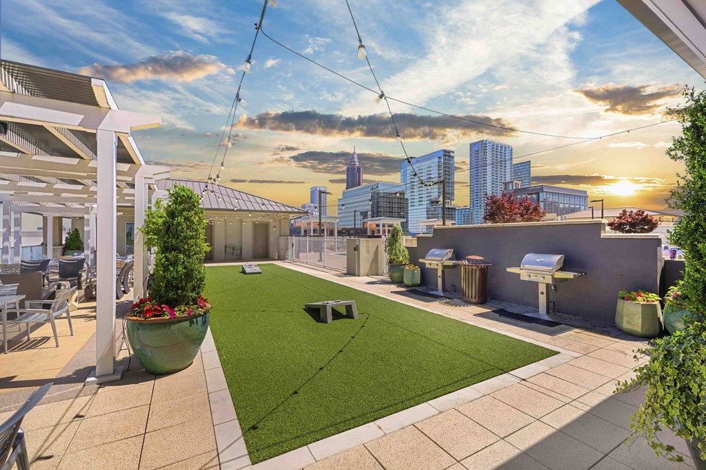 a rooftop terrace with grass and a city skyline in the background