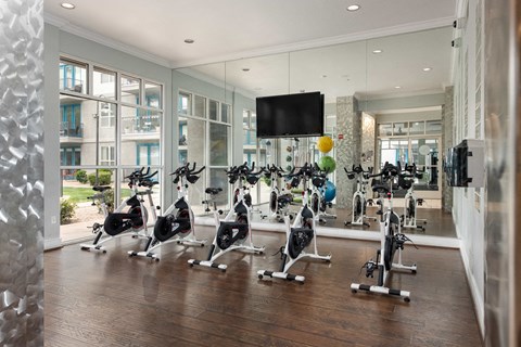 the gym has a slew of exercise bikes and a television
