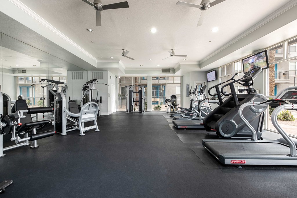 the gym is equipped with cardio equipment and weights