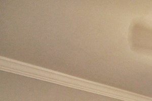 922G 922 Ontario St. 1 Bed Apartment for Rent - Photo Gallery 3