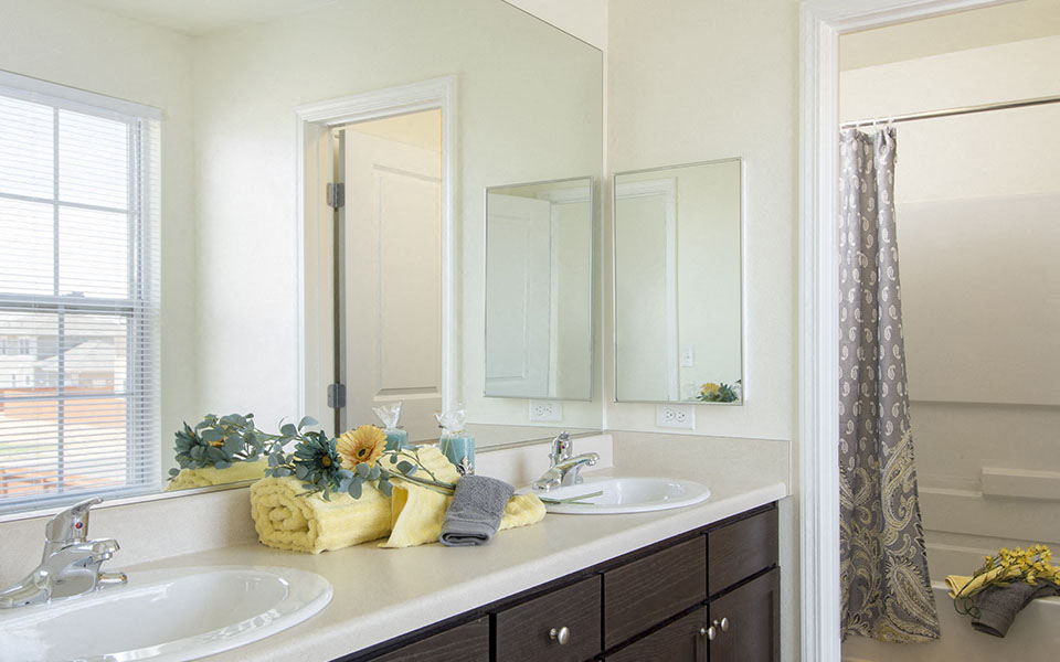 a bathroom with two sinks and a large mirror