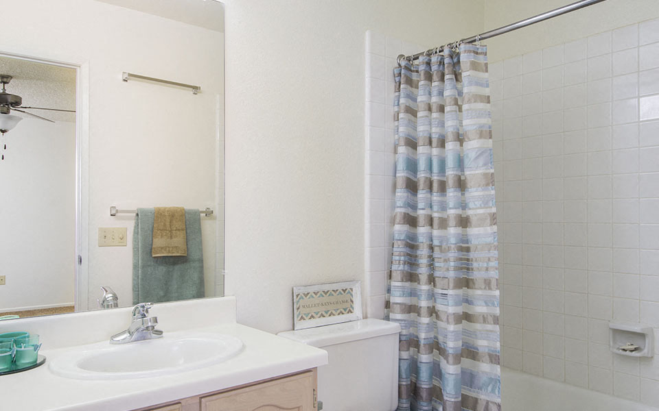 a bathroom with a sink and a shower and a mirror
