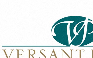 Versant Place Apartments In Brandon Fl