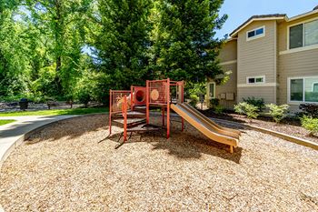 Preserve at Blue Ravine - Playground