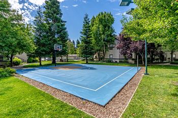 The Commons apartments sports court