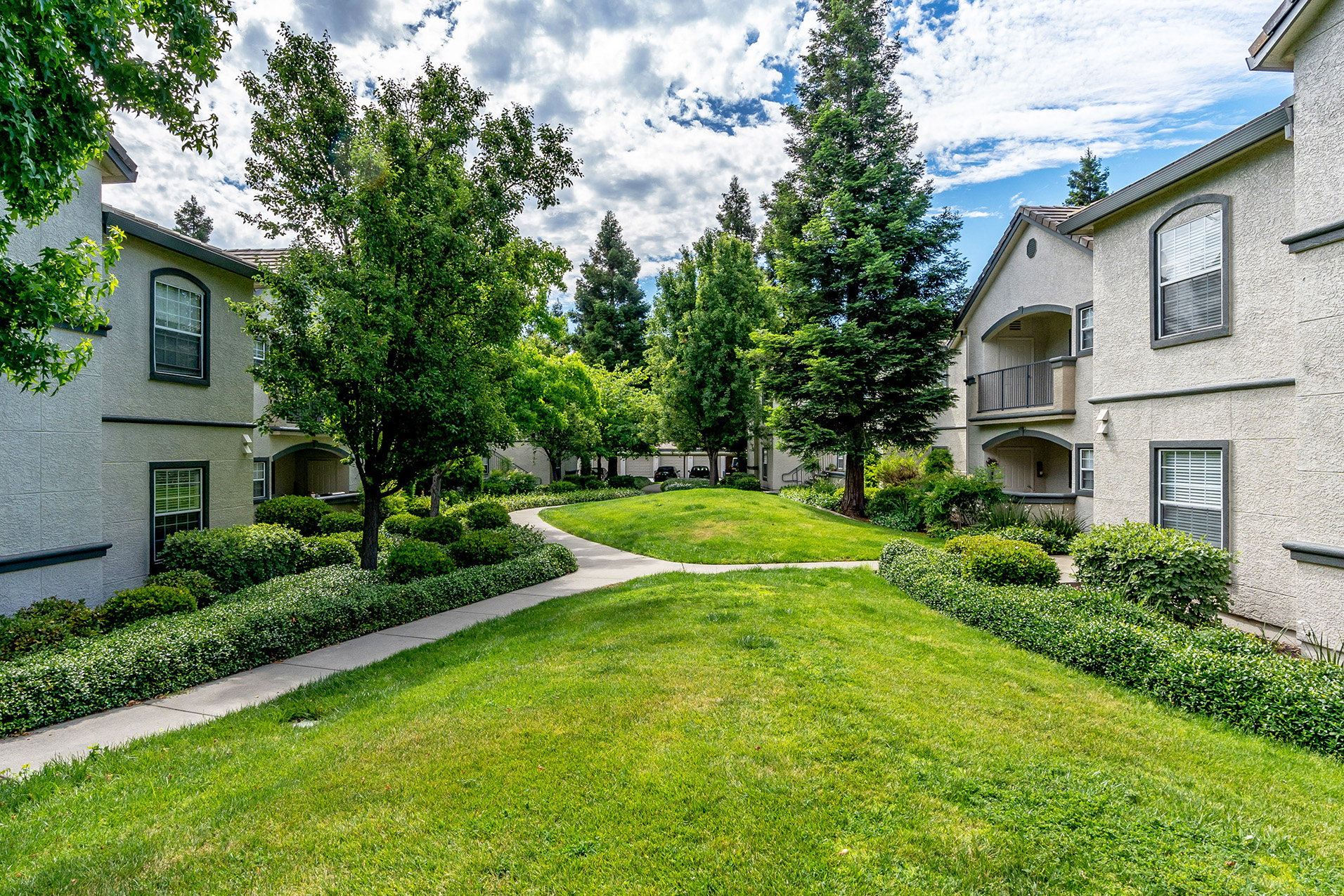 The Commons apartments landscaping