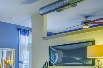 Lofts at Lakeview Apartments - Ceiling fan with light