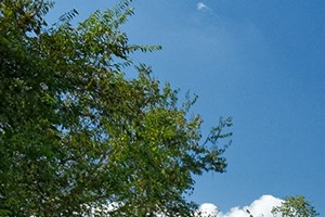 Arbor Hills Apartments playground