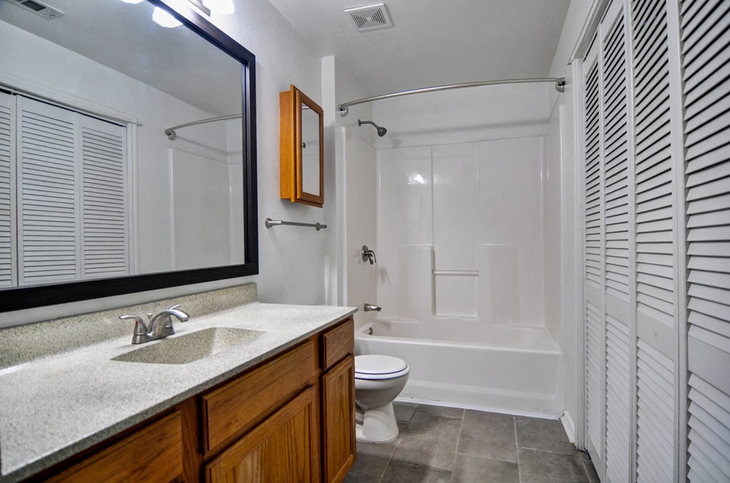 a bathroom with a shower toilet and sink and a mirror