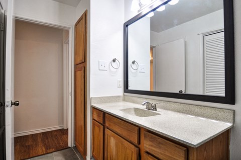 a bathroom with a sink and a mirror
