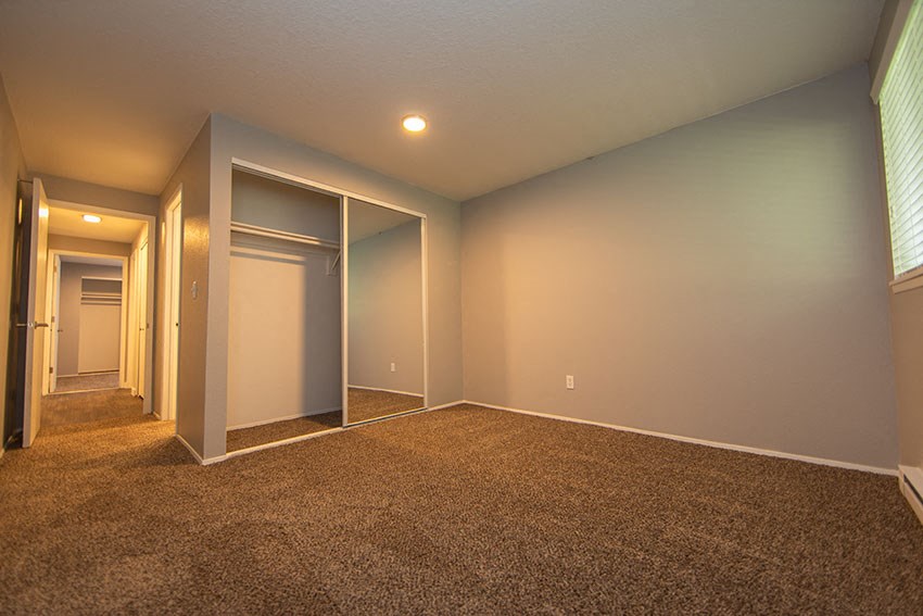 a empty room with a carpeted floor and a closet