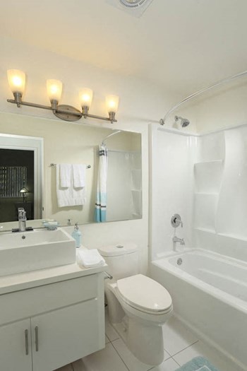 600 Spring Road 1-2 Beds Apartment for Rent - Photo Gallery 5
