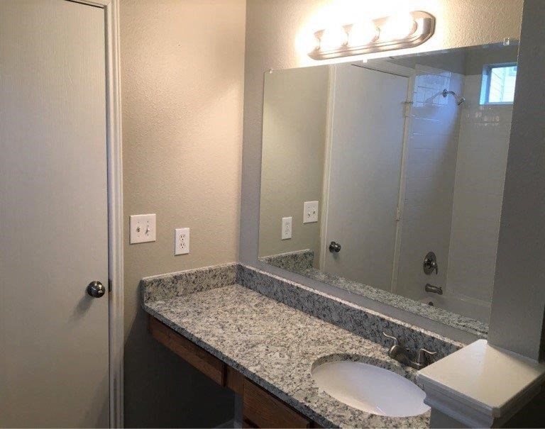 a bathroom with a sink and a mirror and a shower