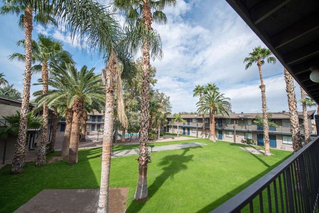 a view of a courtyard with palm trees