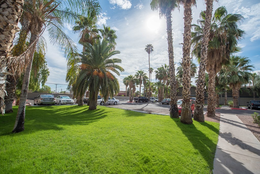 a park with palm trees and green grass next to a parking lot