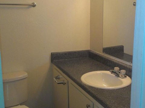 a bathroom with a sink and a toilet