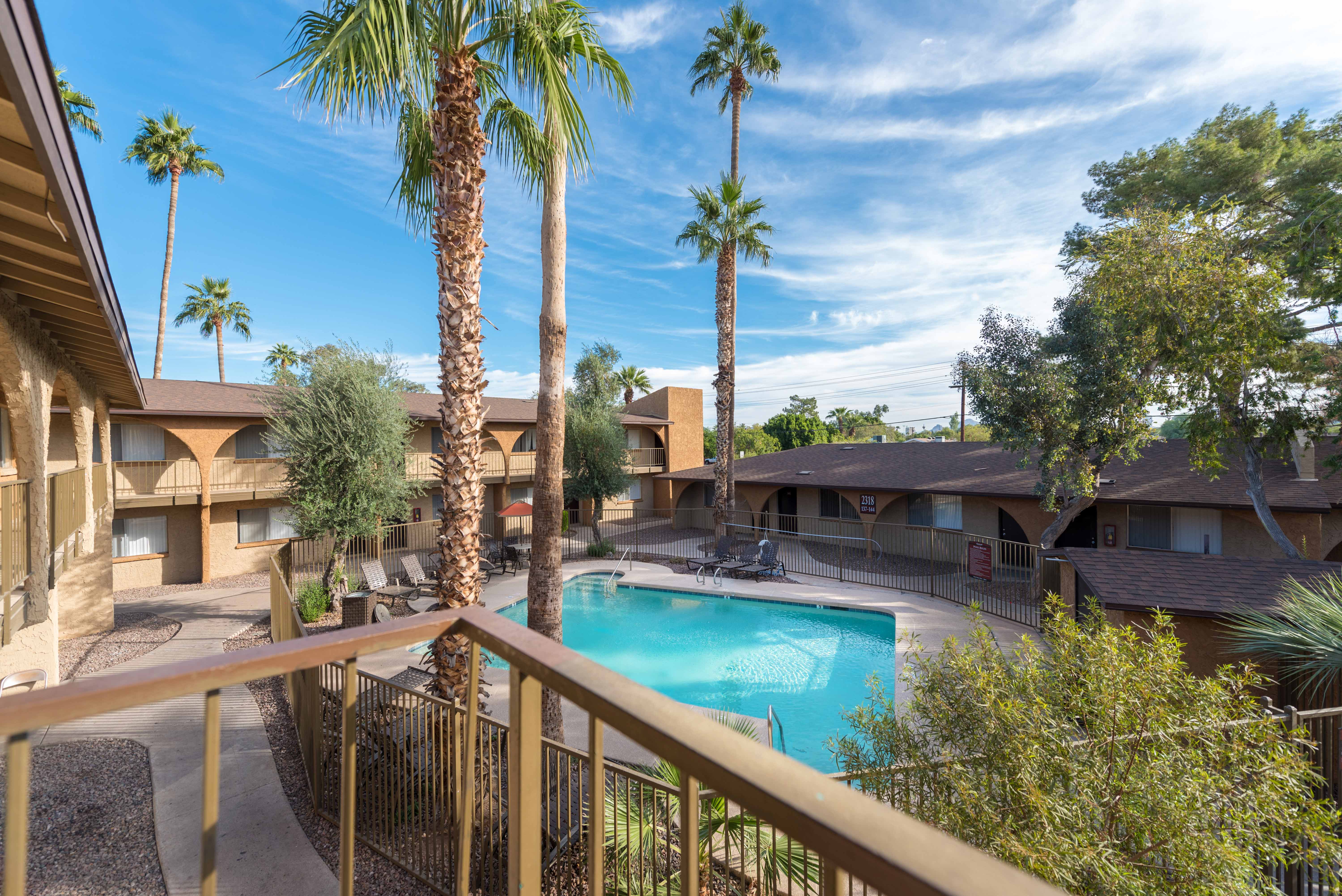 a resort style swimming pool with palm trees