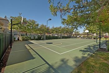 Sports Court l Cobble Oaks in Gold Ridge CA