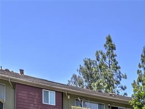 Apartments for Rent in El Cajon, CA - Forest Park Pool