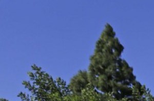 Northridge, CA Apartments for Rent | Grand on Lindley