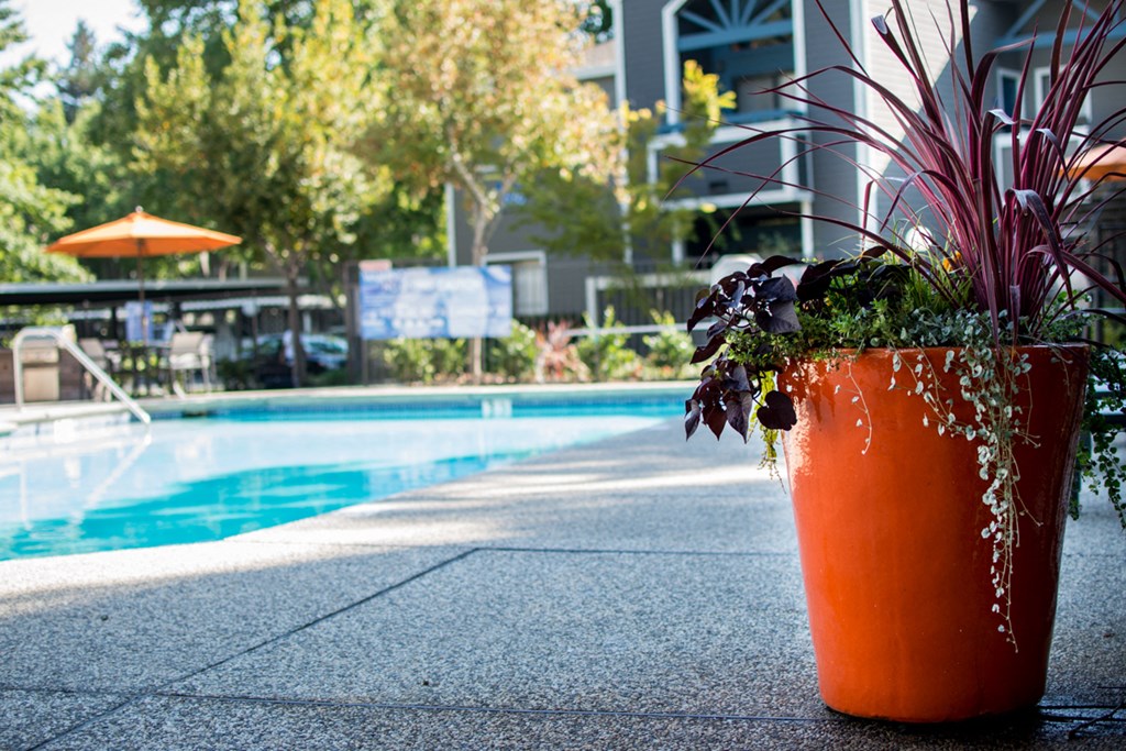 Pool l Waterford Cove Apartments in Sacramento CA